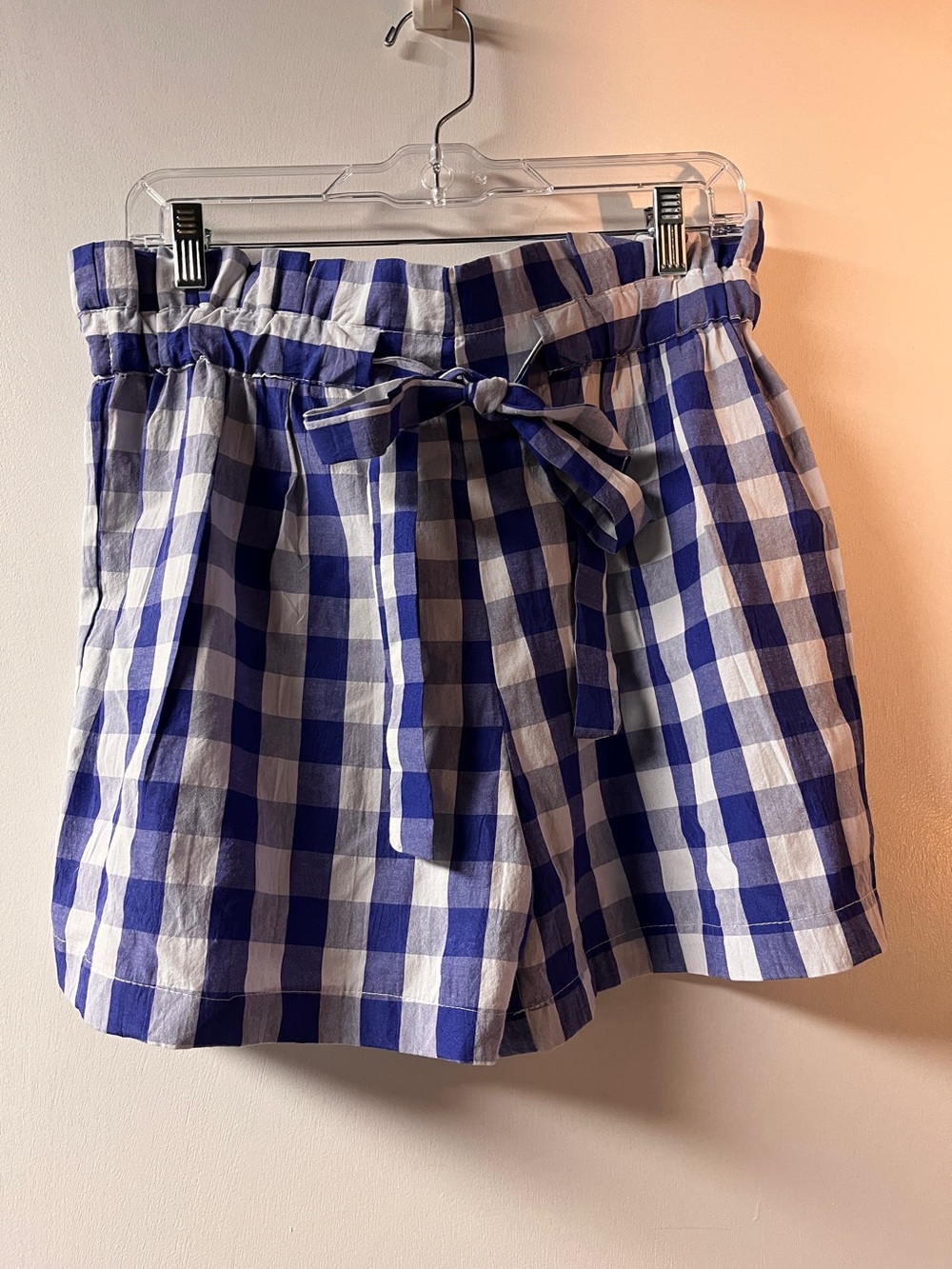 Joie Blue and White Gingham Paperbag Waist Shorts